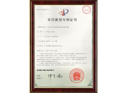 专利 专利