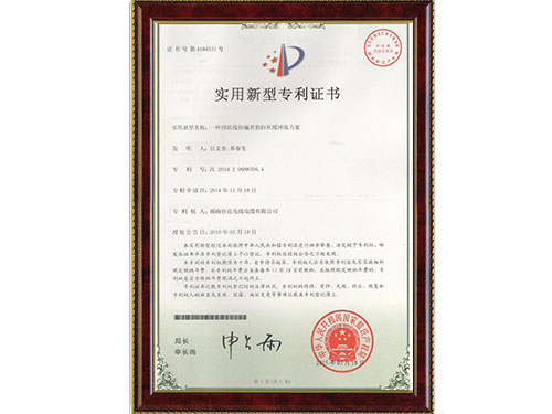 专利 专利